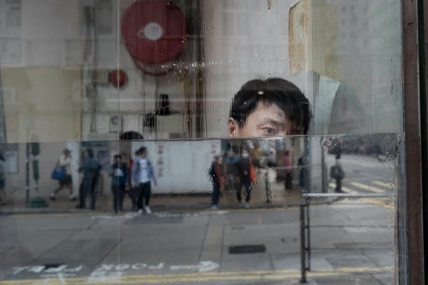 Notre avis sur les croquettes carnilove en 2024