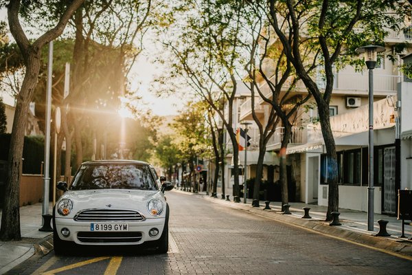 Répercussions des Grands Sommets Environnementaux sur la Disparition des Habitats : Un Retour Détaillé