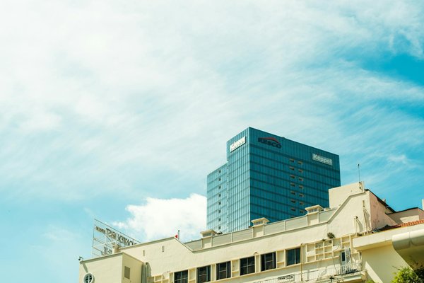 Confort et élégance : choisir sa chaise de salle à manger